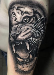 Tatuaje de Tigre realista en vault tattoo